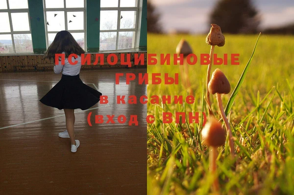 мет Белокуриха