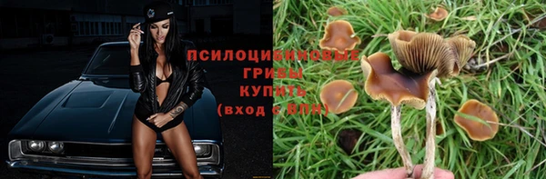 мет Белокуриха
