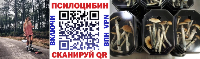 дарнет шоп  Олёкминск  Галлюциногенные грибы GOLDEN TEACHER 